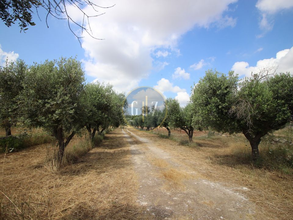 Herregård i Calimera, Lecce - bilde 3
